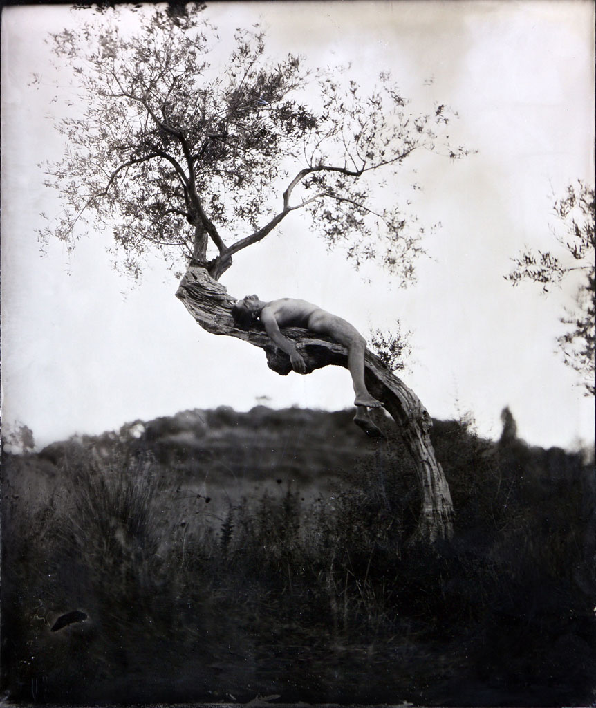 metamorphosis - Lastra 4