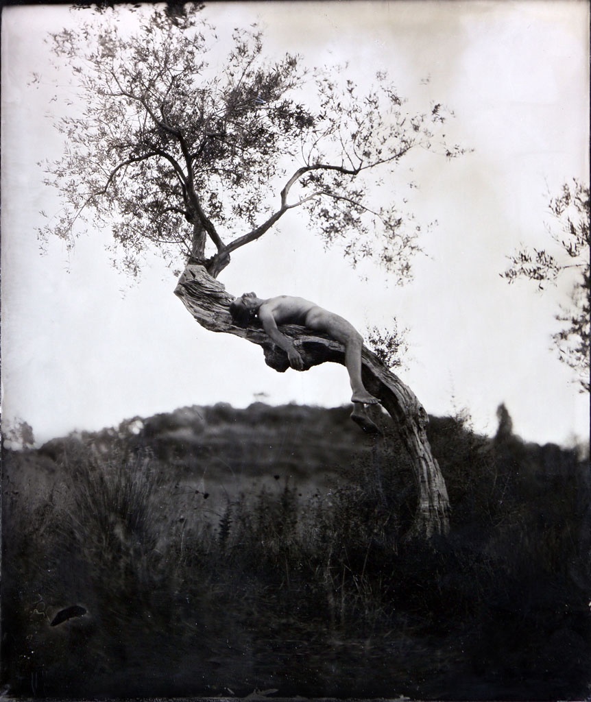metamorphosis