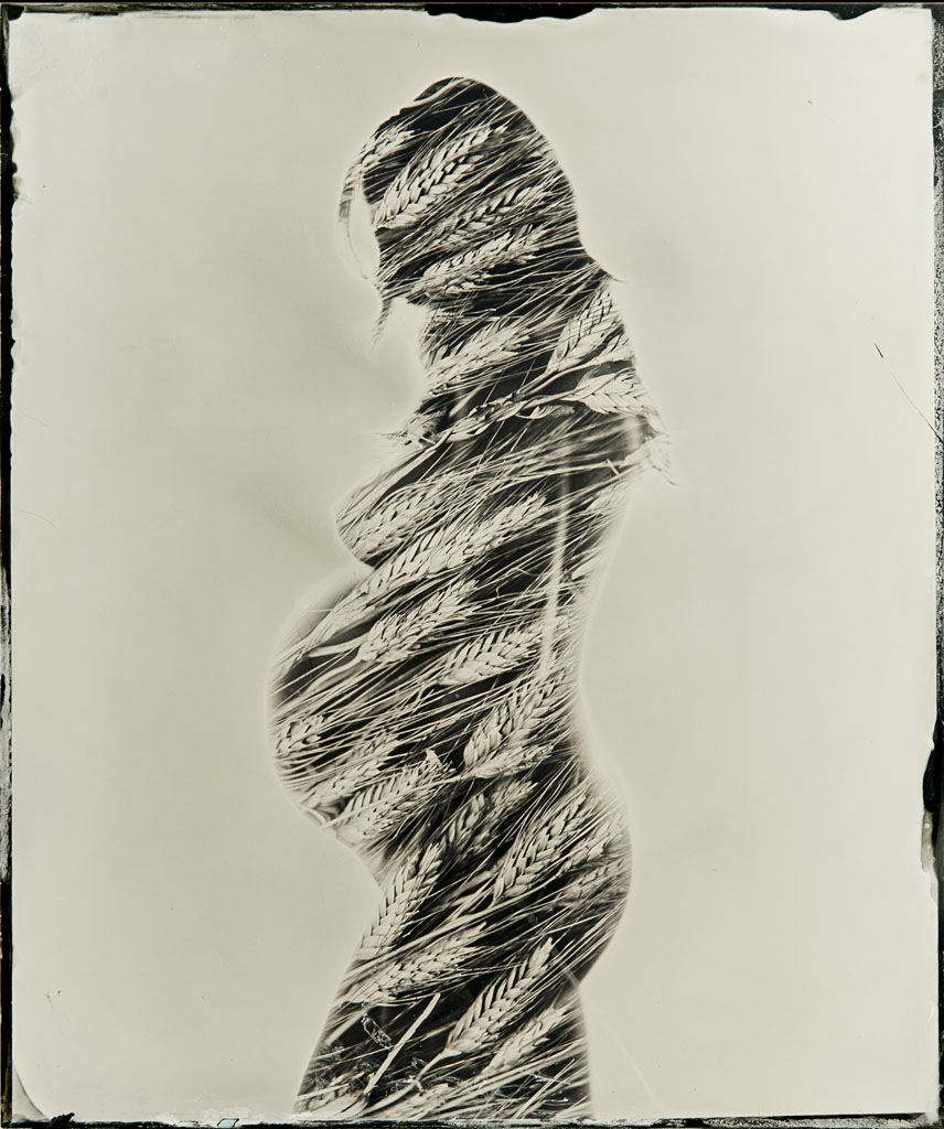 Gestation - Lastra 2