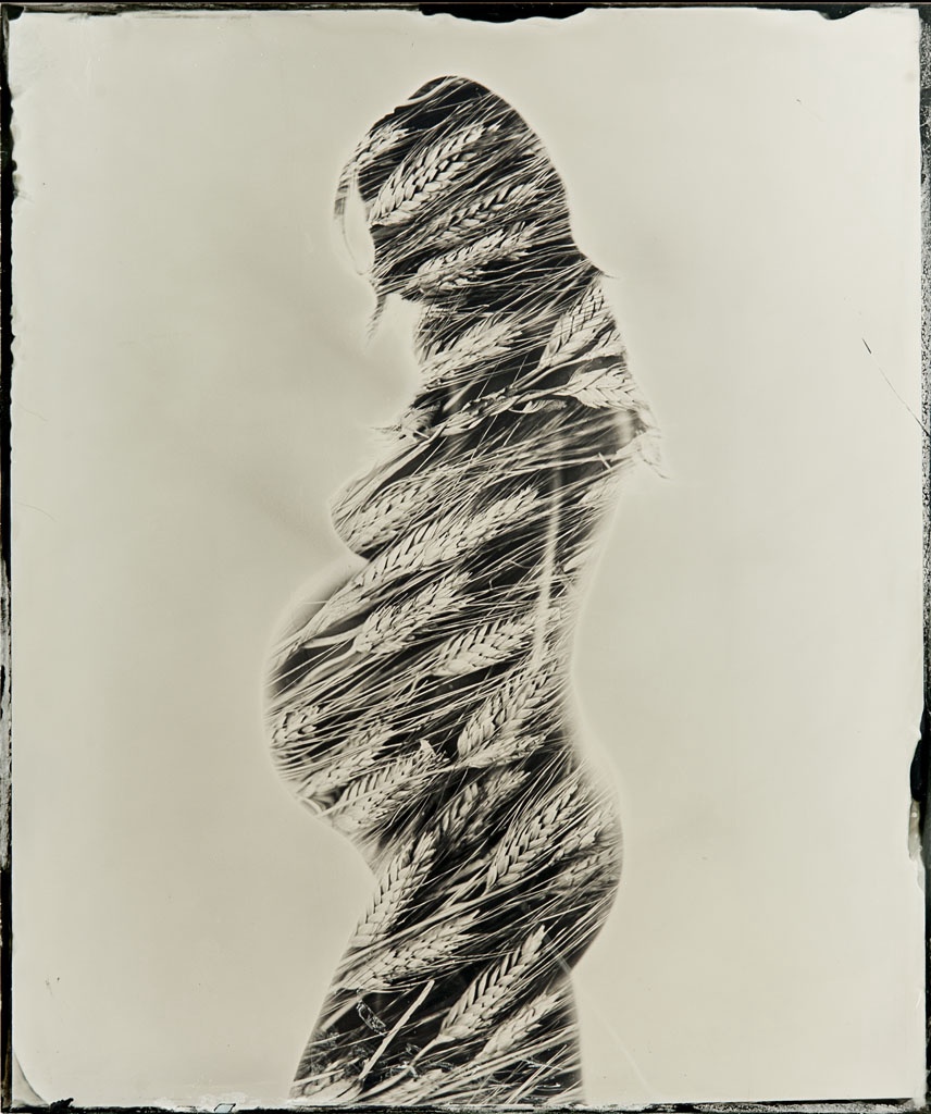 Gestation