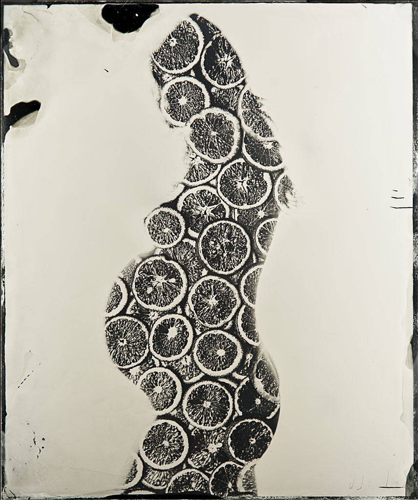 Gestation - Lastra 4