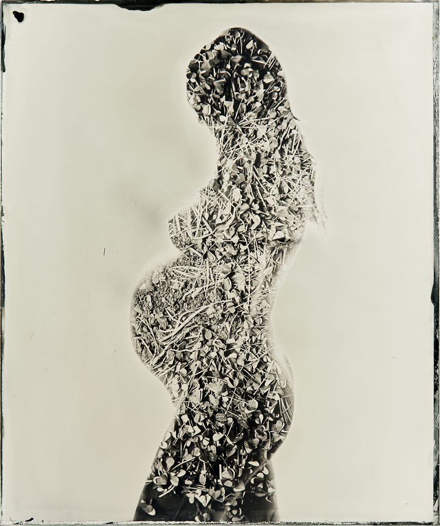 Gestation